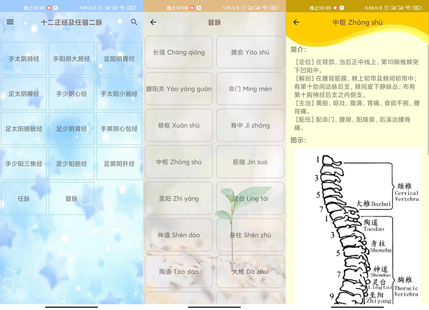 安卓人体穴位图解v3.1.4可离线版