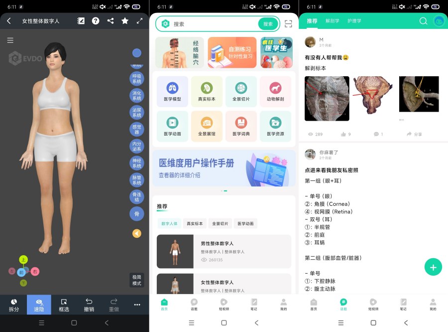 医维度解剖3.3.21一键解刨｜医学知识｜一键脱衣等